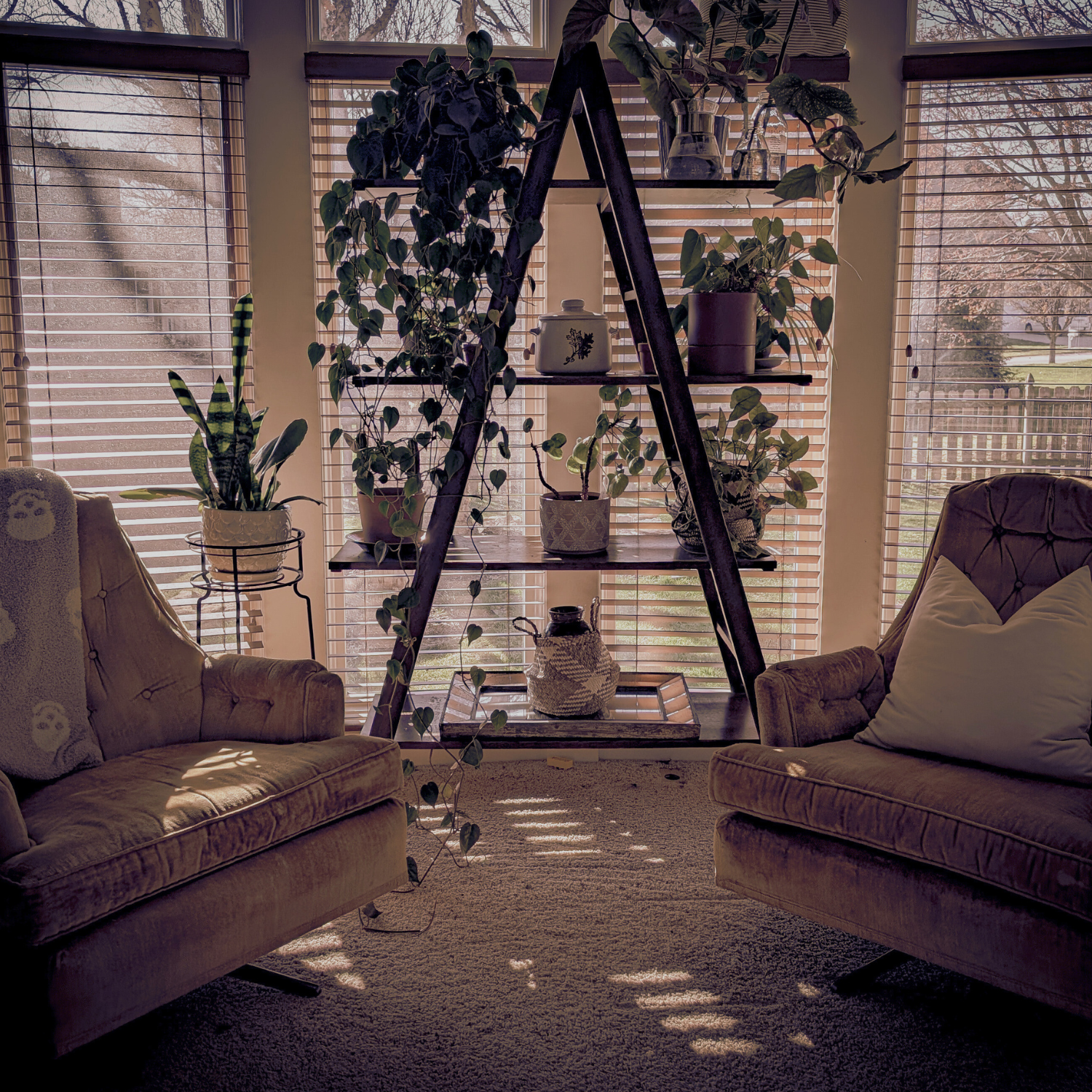 Soul Contract Sessions